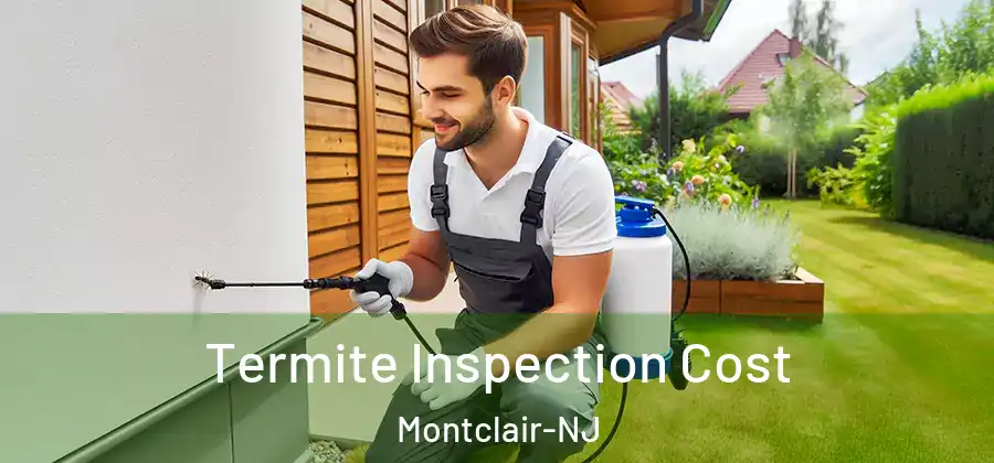 Termite Inspection Cost Montclair-NJ