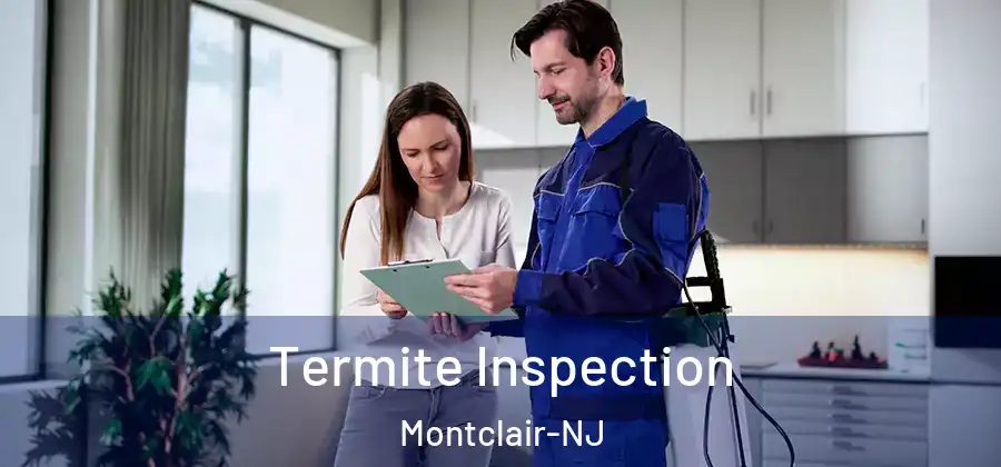 Termite Inspection Montclair-NJ