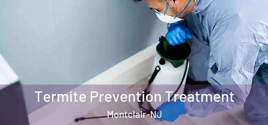  Termite Prevention Treatment Montclair-NJ