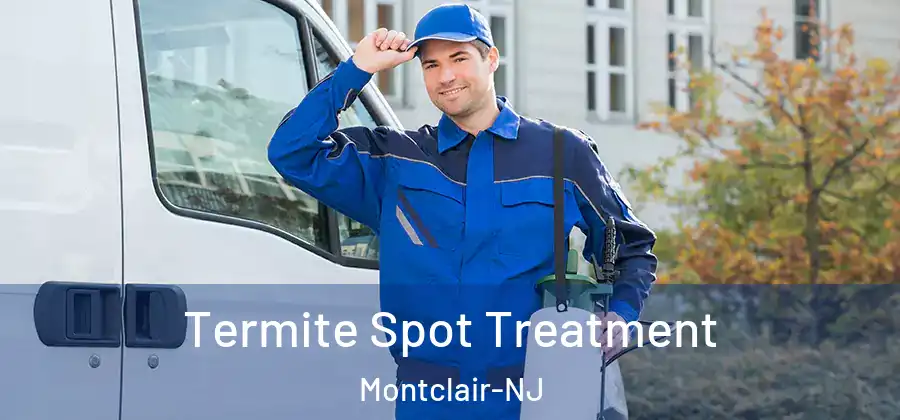  Termite Spot Treatment Montclair-NJ