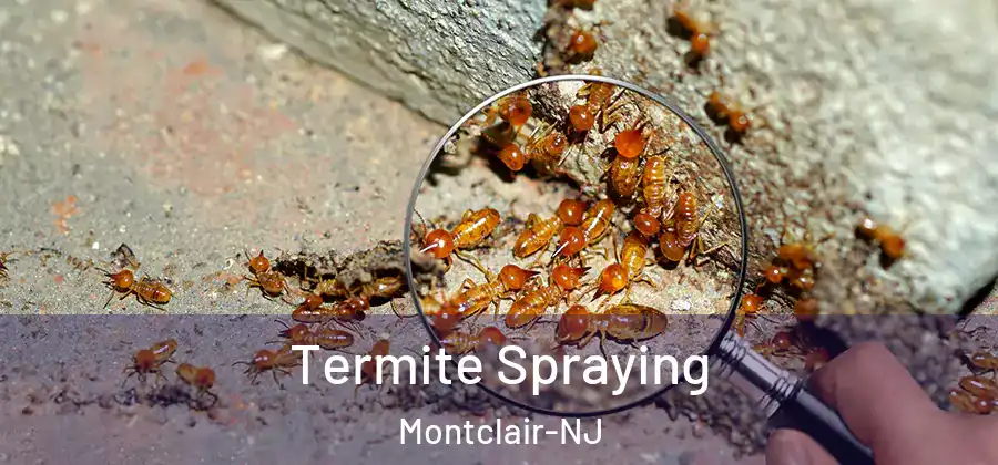  Termite Spraying Montclair-NJ