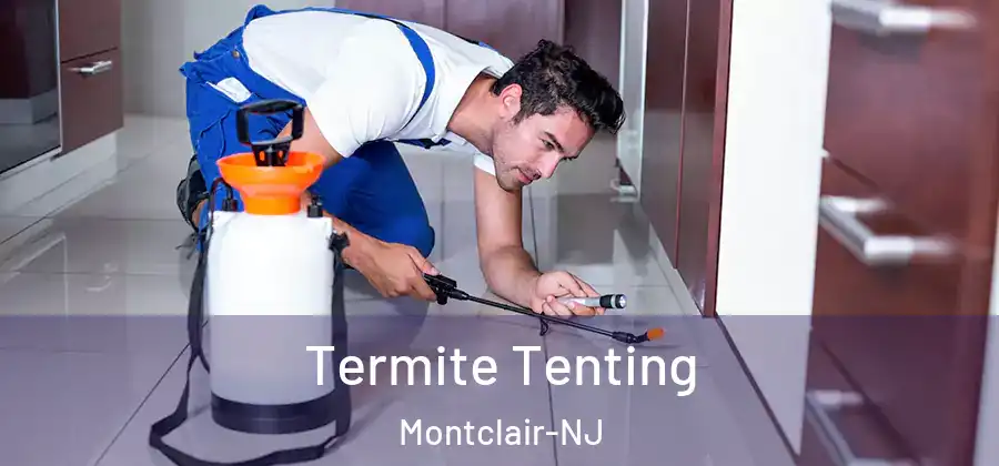 Termite Tenting Montclair-NJ