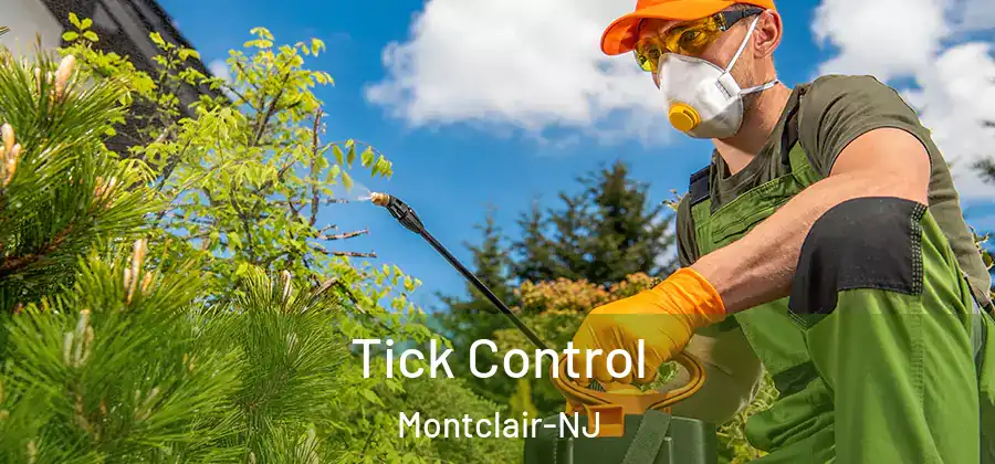 Tick Control Montclair-NJ