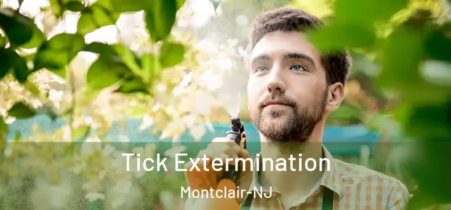 Tick Extermination Montclair-NJ