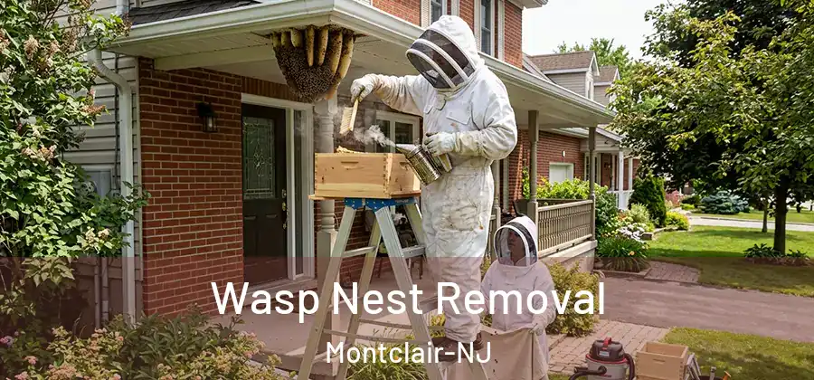  Wasp Nest Removal Montclair-NJ
