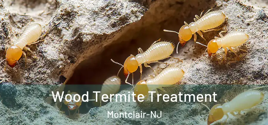 Wood Termite Treatment Montclair-NJ