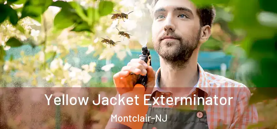Yellow Jacket Exterminator Montclair-NJ